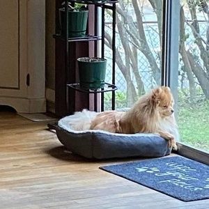 Meet your Posher, Bryan